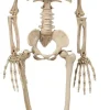 Halloweendekoration Skelett 42 cm