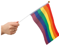Pride Handflaggor 6-pack